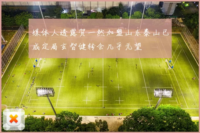 媒体人透露贺一然加盟山东泰山已成定局玄智健转会几乎无望